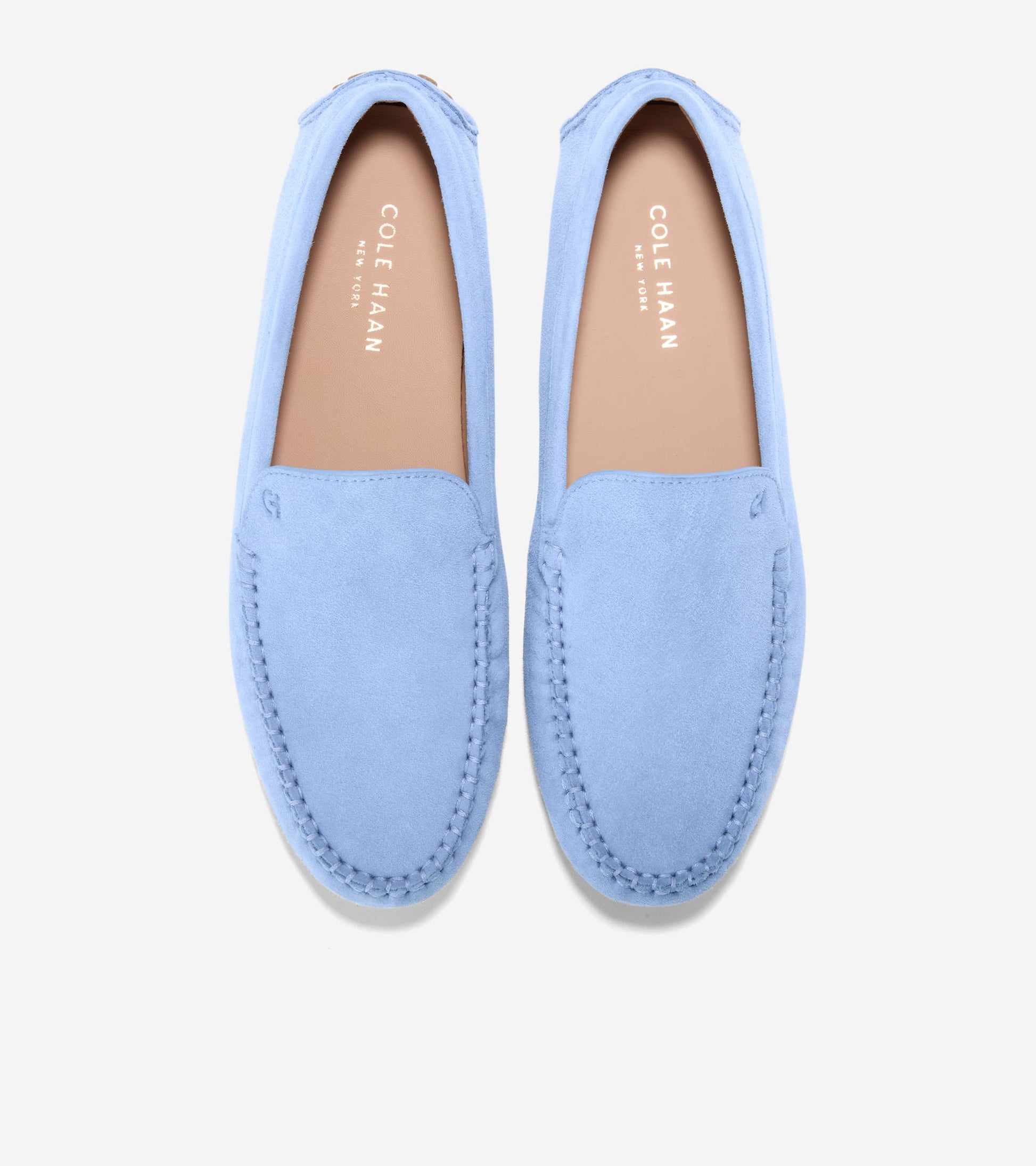 W37029:HYDRANGEA SUEDE