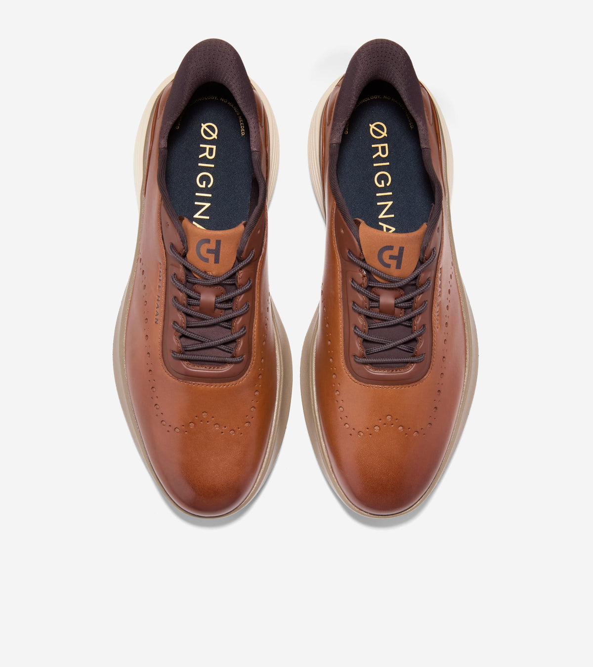 C44230:CH BRITISH TAN / CH IRISH COFFEE / IVORY