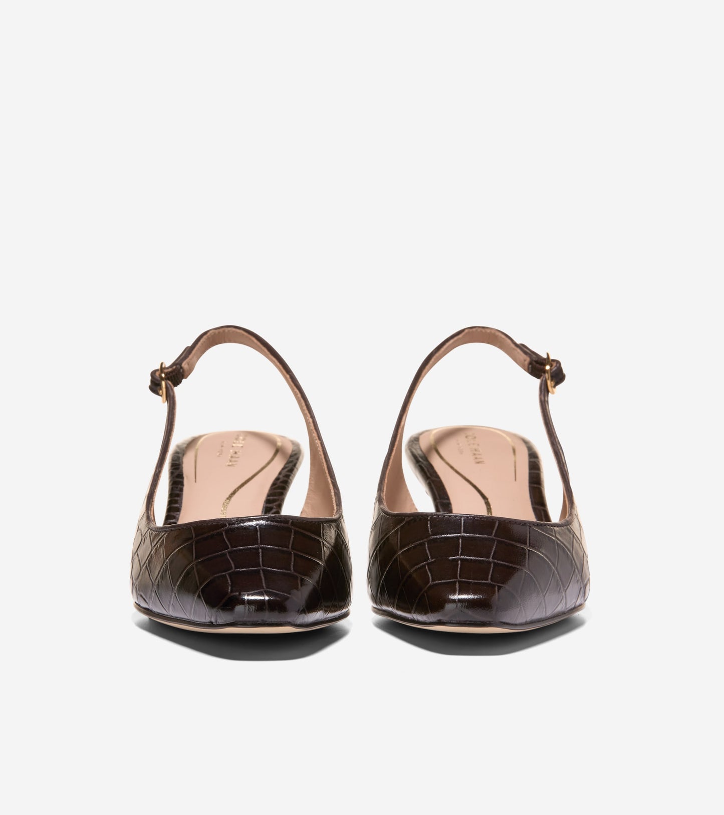 W36869:CH DK CHOCOLATE CROC PRINT LEATHER