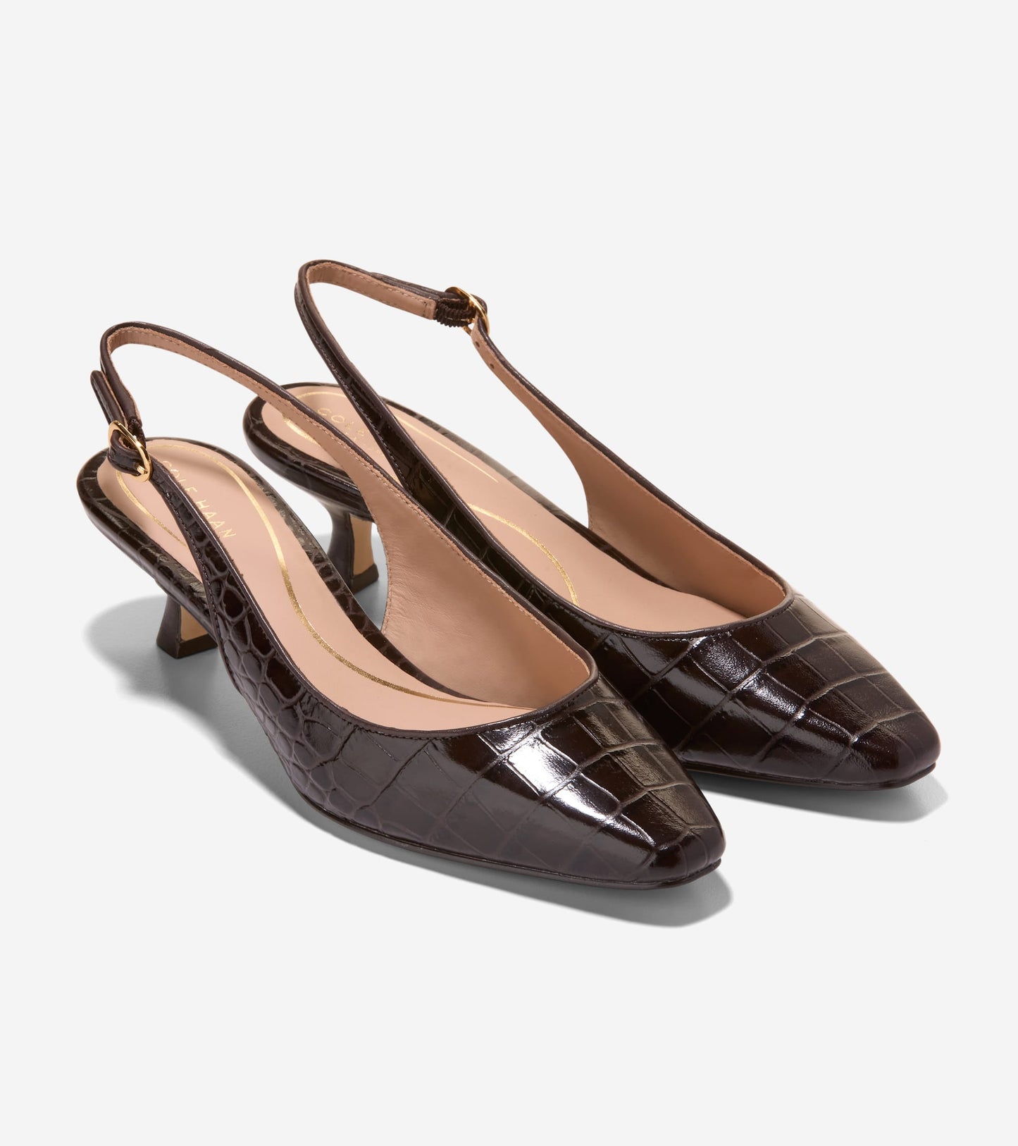 W36869:CH DK CHOCOLATE CROC PRINT LEATHER