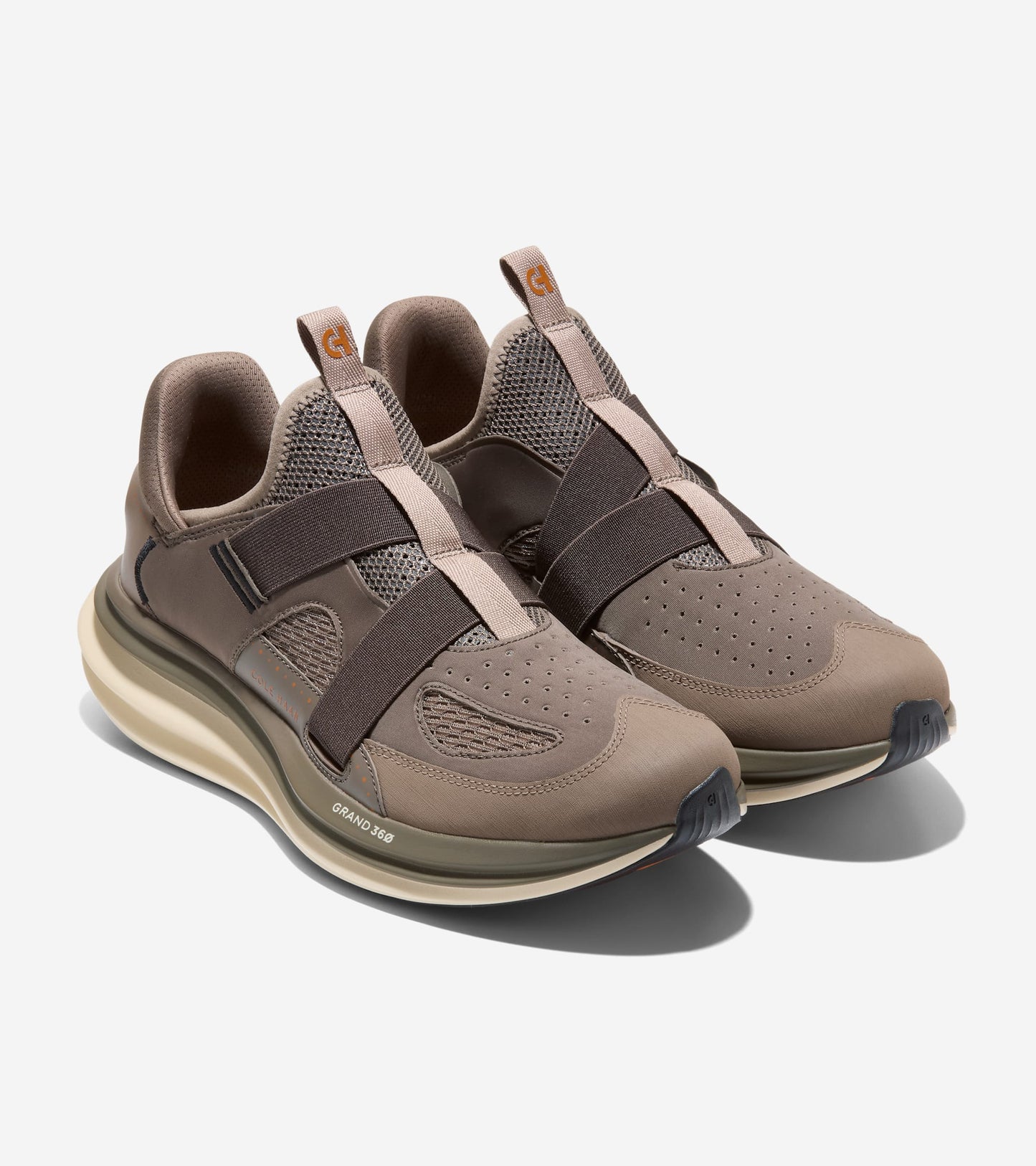 C41241:MOREL / CH IRISH COFFEE / ALABASTER GLEAM