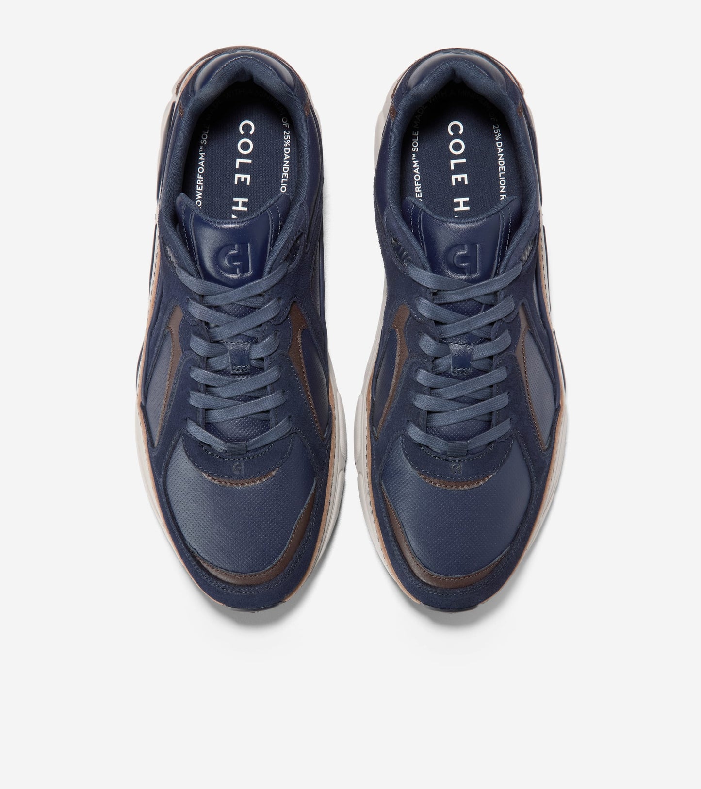 C41213:CH MIDNIGHT MOON / CH MADEIRA / DOVE