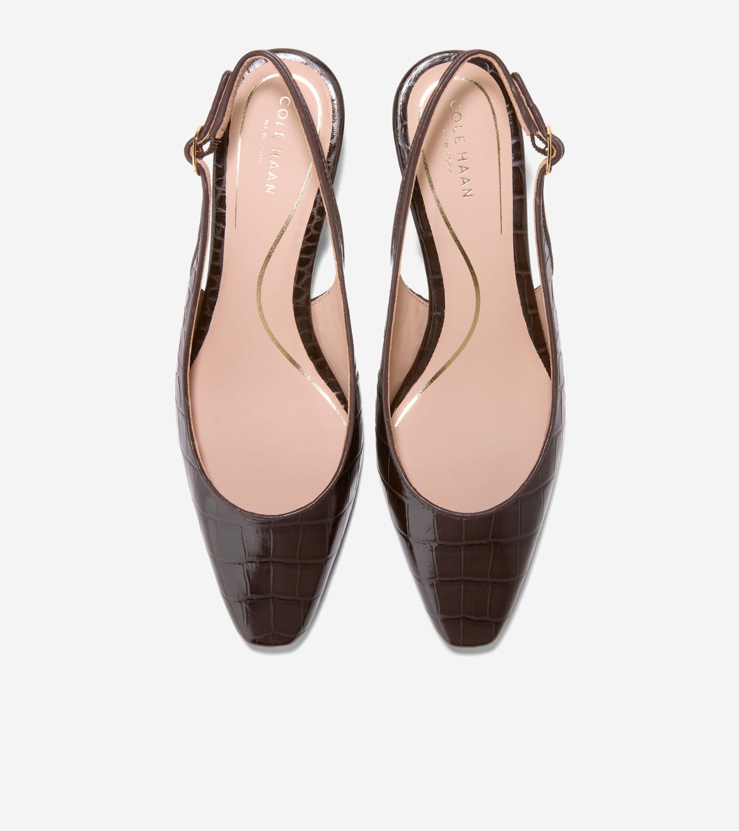 W36869:CH DK CHOCOLATE CROC PRINT LEATHER