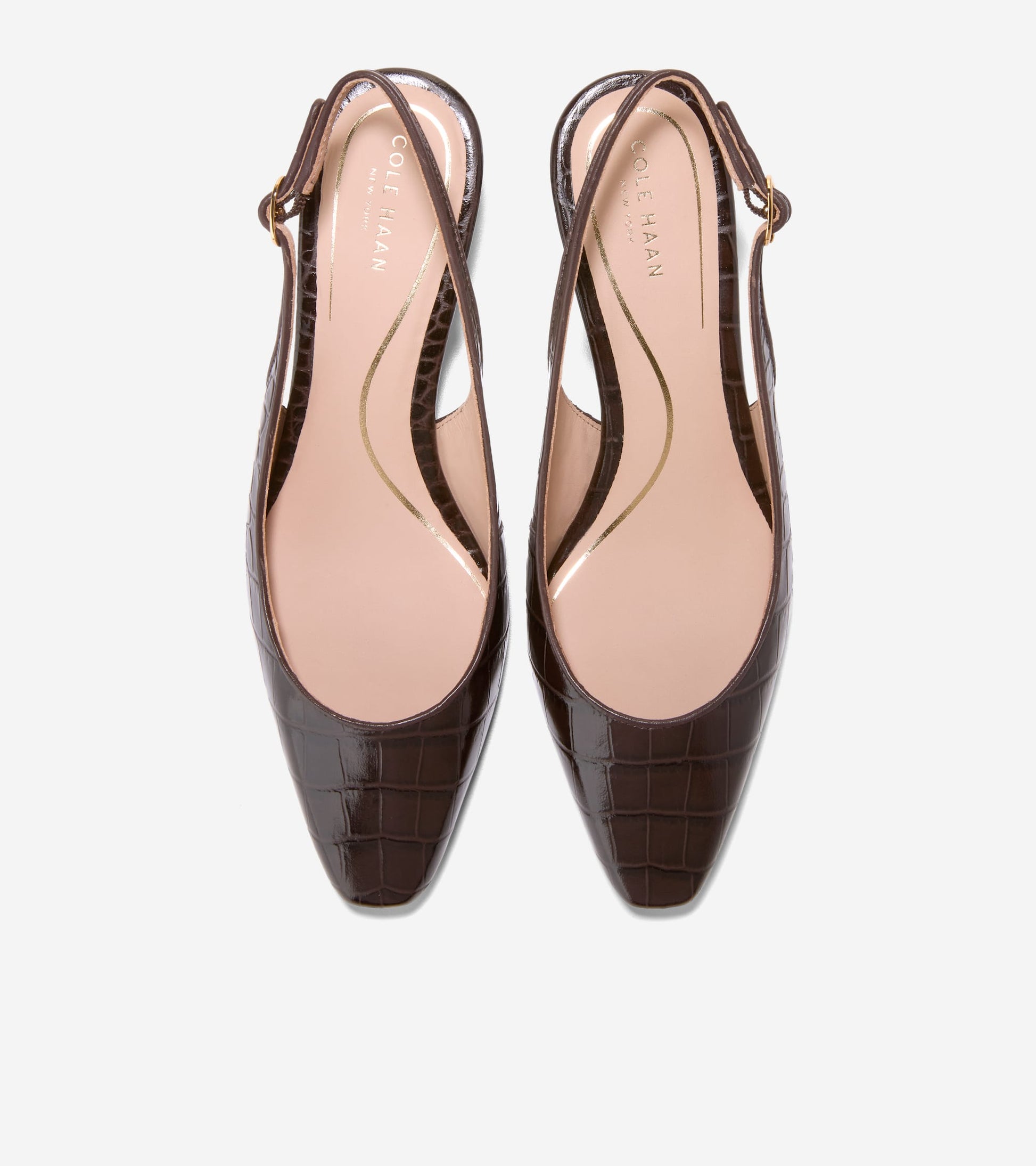 W36869:CH DK CHOCOLATE CROC PRINT LEATHER