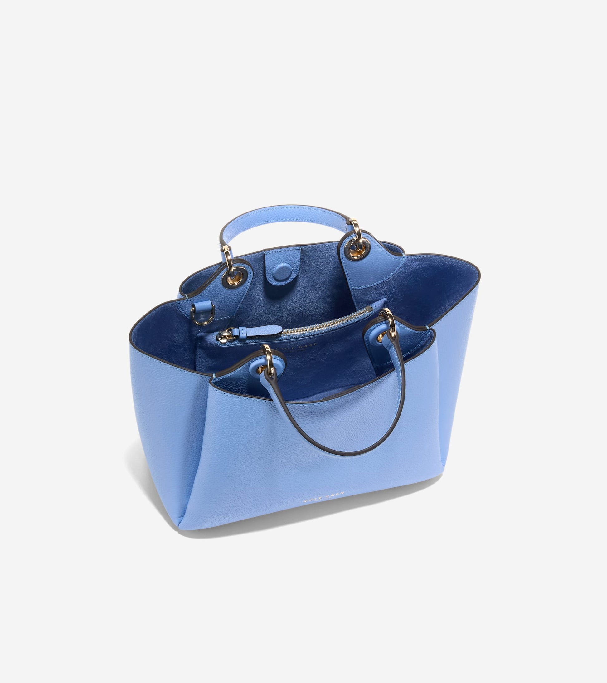 U08237:HYDRANGEA:0000