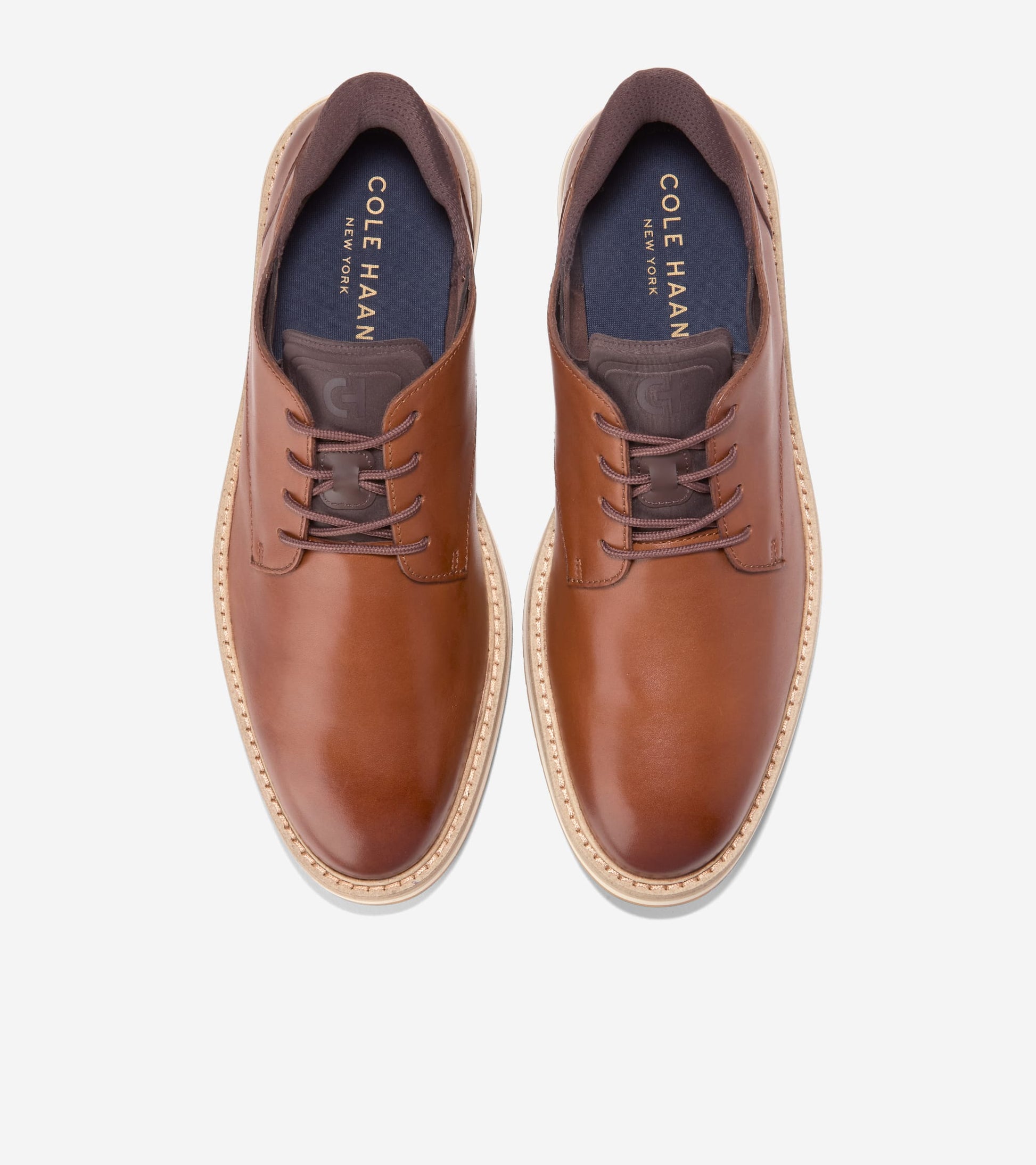 C41522:CH BRITISH TAN / CH DK LATTE / ANGORA