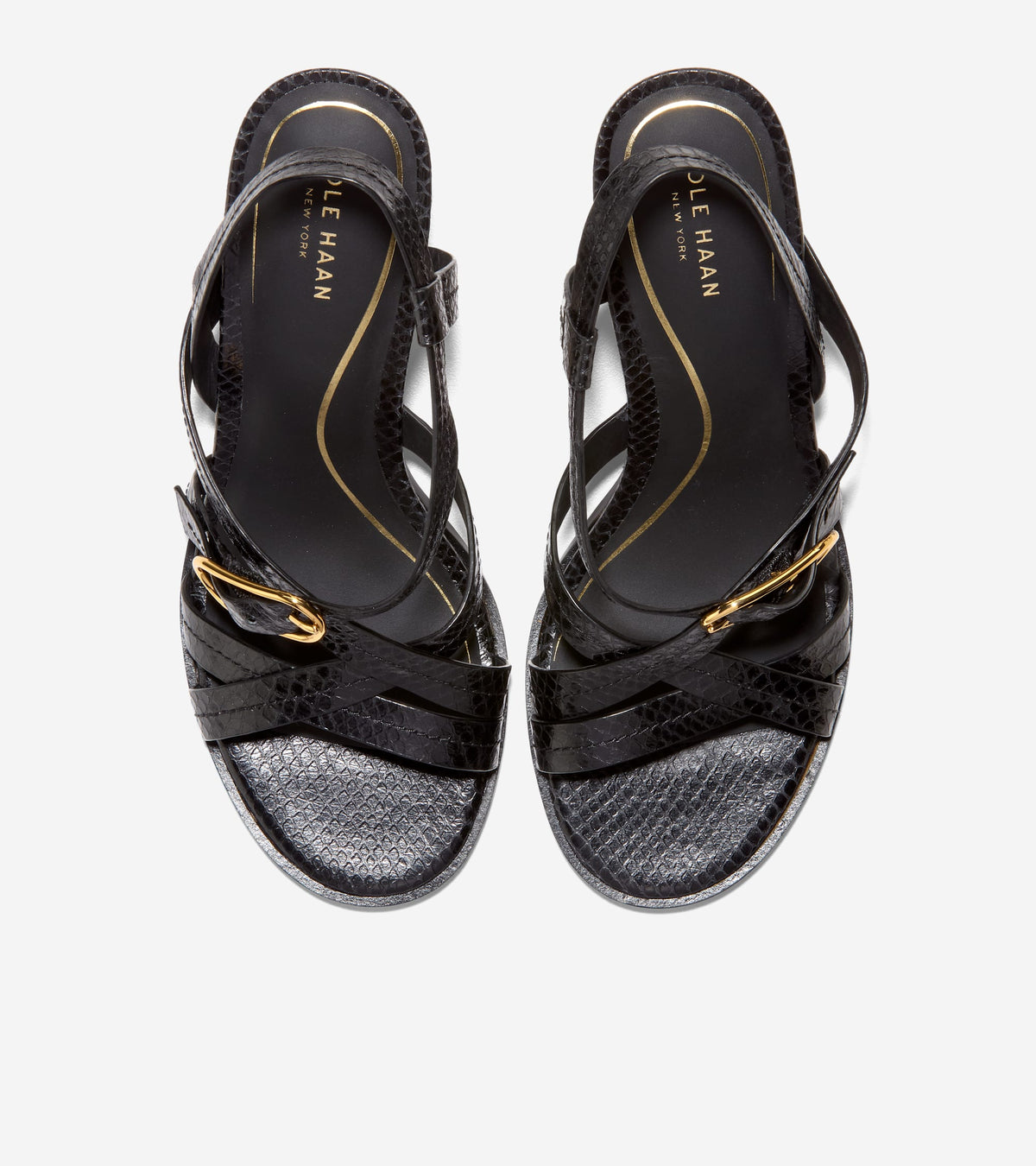 W36934:BLACK GLOSSY SNAKE PRINT LTHR